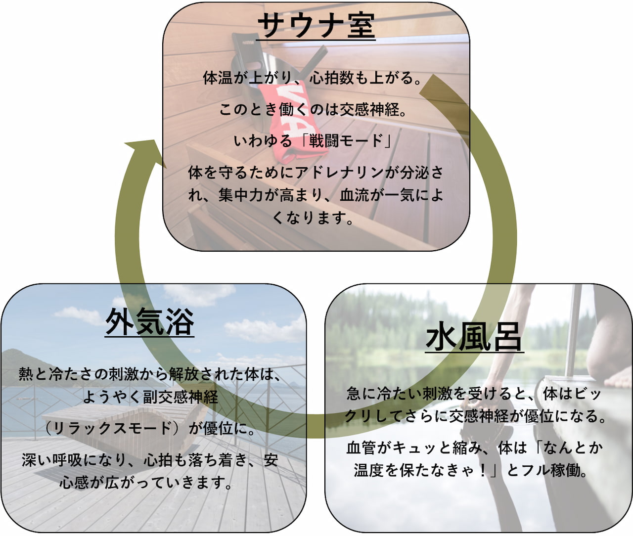 サウナ室→水風呂→外気浴によって起きる様々な効果