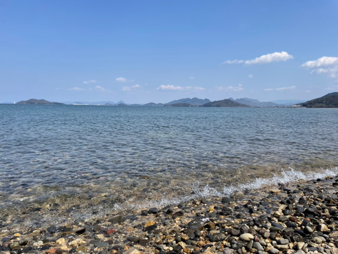 海